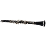 Sinclair Clarinet with Case