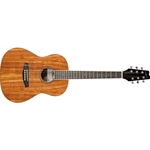 Denver Koa Parlour Acoustic GuitarW/Bag