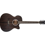 Washburn WASHBURN Deep Forest GA CW/PU Acoustic Guitar
