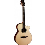 Faith HiGloss Venus - 3pc Rosewood back
Acoustic Guitar w/ Case