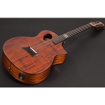 Michael Kelly Acoustic Guitar
