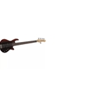 Godin Freeway 5 string Bass Guitar