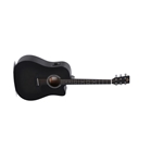 Sigma SE Series Acoustic Guitar
