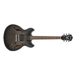 Ibanez AS53TKF Hollowbody Electric Guitar
