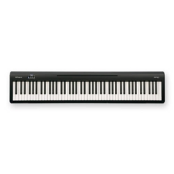 Roland FP-10 Digital Piano/(No Stand)