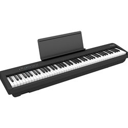 Roland FP-30X Digital Piano (no stand)