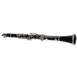 Sinclair Clarinet with Case