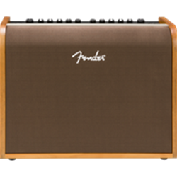 Fender Acoustic 100 Guitar Amp