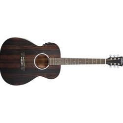 Washburn WASHBURN Deep Forest Folk w/PU Acoustic Guitar