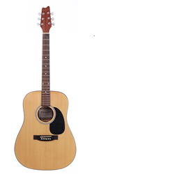 Denver Acoustic Guitar - Full Size - Natural w/Bag