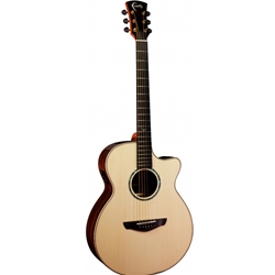 Faith HiGloss Venus - 3pc Rosewood back
Acoustic Guitar w/ Case