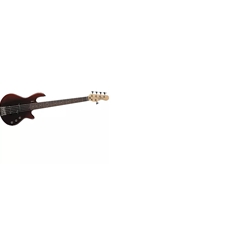 Godin Freeway 5 string Bass Guitar