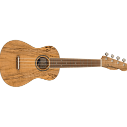 Fender Zuma Exotic Concert Ukulele