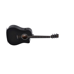 Sigma SE Series Acoustic Guitar
