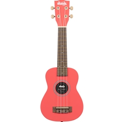 Kala Learn To Play The Ukulele Starter Kit