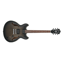 Ibanez AS53TKF Hollowbody Electric Guitar